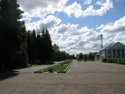 Аллея в центре Нововаршавки | Нововаршкавка | Нововаршавка